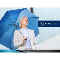 Megalines Insurance & Risk Advisers Logo