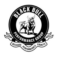Black Bull Performance Group Logo