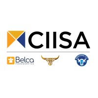 Grupo CIISA Logo