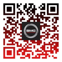 Bearing Man Group (Pty) Ltd t/a BMG Logo