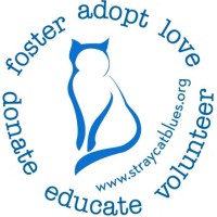 Stray Cat Blues Inc. Logo