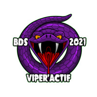 BDS ICAM LILLE Logo