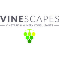 Vinescapes Logo