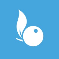 Bcomberry, créateur de site internet Logo