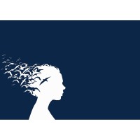 Les NouvL Expertes Logo