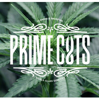 Prime Cuts Cannabis Nursery and Seed Bank Logo