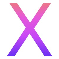pageX Logo