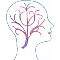Neurowellness, LLC Logo