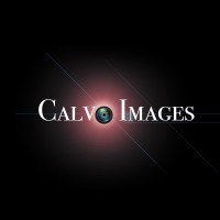 Calvo Images Logo