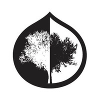 The Wright Edge Logo
