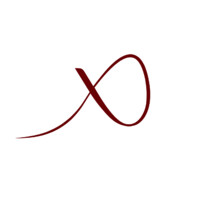 Passionflix Logo