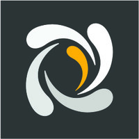 Turner International Enterprises Logo