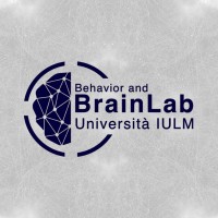 BrainLab IULM Logo