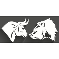 Bull & Bear Financial Strategies Pty Ltd Logo