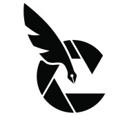 The Content Team Logo