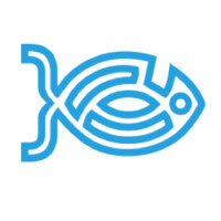 Codify Logo