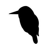 ILNI bags Logo