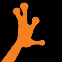 Wildfrog Systems Logo