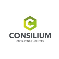 Consilium Solutions Group LLP Logo