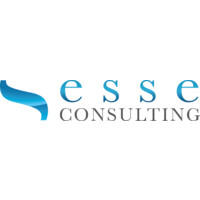 Esse Consulting Srl Logo