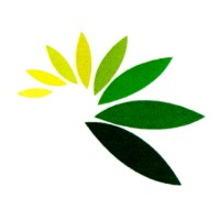 Victa Systems Logo