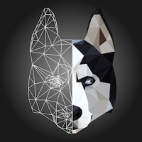 Data Architect Logo