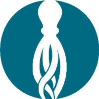 Octopus Solutions Logo