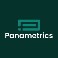 Panametrics, a Baker Hughes business Logo