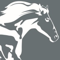 Horsepower Xp Logo