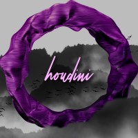 Houdini Interactive Logo