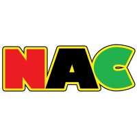 New Africa Comics Logo