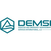 DEMSI Logo