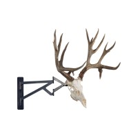 Beartooth Skullworks Logo