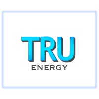 TRUenergy Inc. Logo