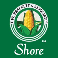 Shore Measuring Systems Logo