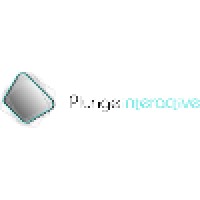 Plunge Interactive Logo