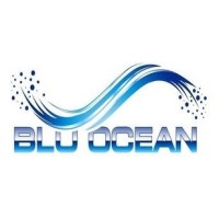 Blu Ocean Global Media Logo