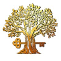 The Maimon Group Logo