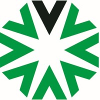 VICIVISION Mexico Logo