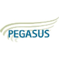 Pegasus Planning and Development Logo