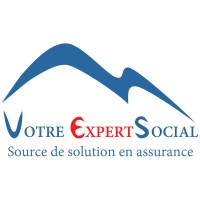 Votre Expert Social Logo
