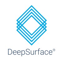 DeepSurface Security Logo