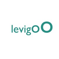 Levigoo Ventures Logo