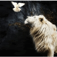 Synchronicities Light Energy Gift Emporium & Salt Cave Logo
