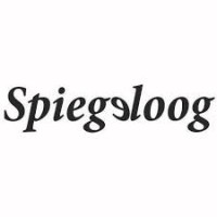 Spiegeloog Logo