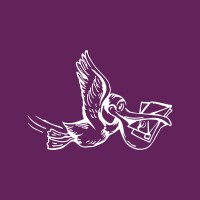 Wise Pelican Logo