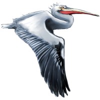 Liquid Design Aquatic Consulting Company Logo