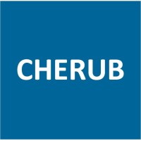 Cherub Advisory & Consulting - IT Sourcing for Maximum Value Logo