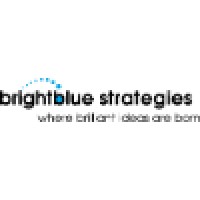 Bright Blue Strategies Logo
