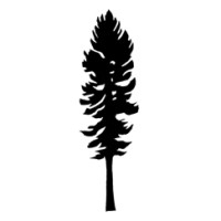 Sequoia Growth Partners Logo